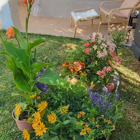 Stella Blanca 2 Bedrooms With Small Garden And Pool *