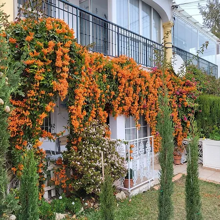 Stella Blanca 2 Bedrooms With Small Garden And Pool * 丰希罗拉