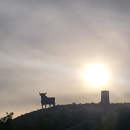 Stella Blanca 2 Bedrooms With Small Garden And Pool 公寓 丰希罗拉