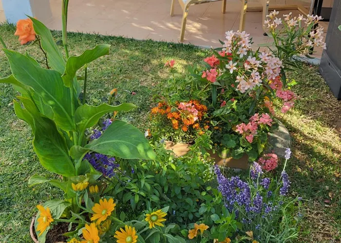 Stella Blanca 2 Bedrooms With Small Garden And Pool *